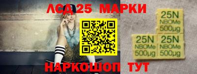 шишки Можга