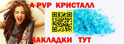 шишки Можга