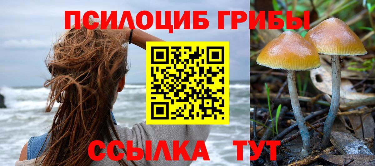 Кизилюрт  Псилоцибиновые грибы прущие грибы  Вход с VPN 