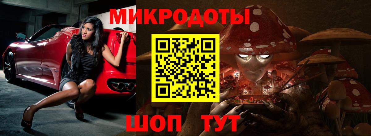 Галлюциногенные грибы Psilocybe Кизилюрт